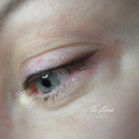 /album/permanentni-makeup/permanentni-makeup-ocni-linka-stinovana-png/
